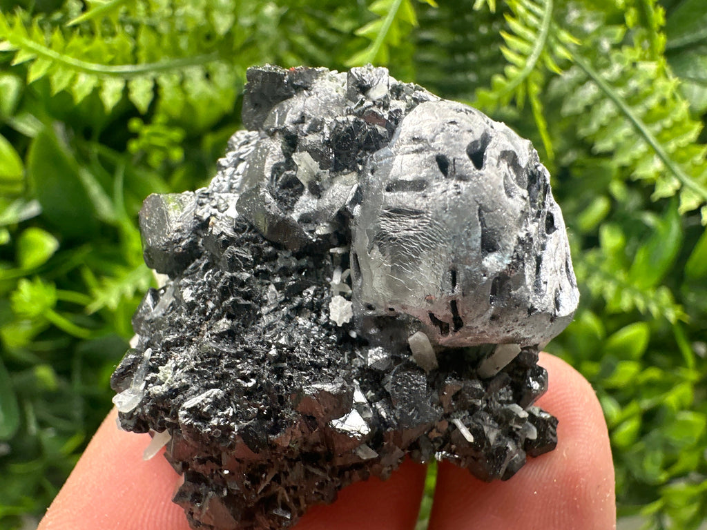 Mirror Galena, Calcite, Sphalerite on Quartz with Chlorite, Borieva Bulgaria