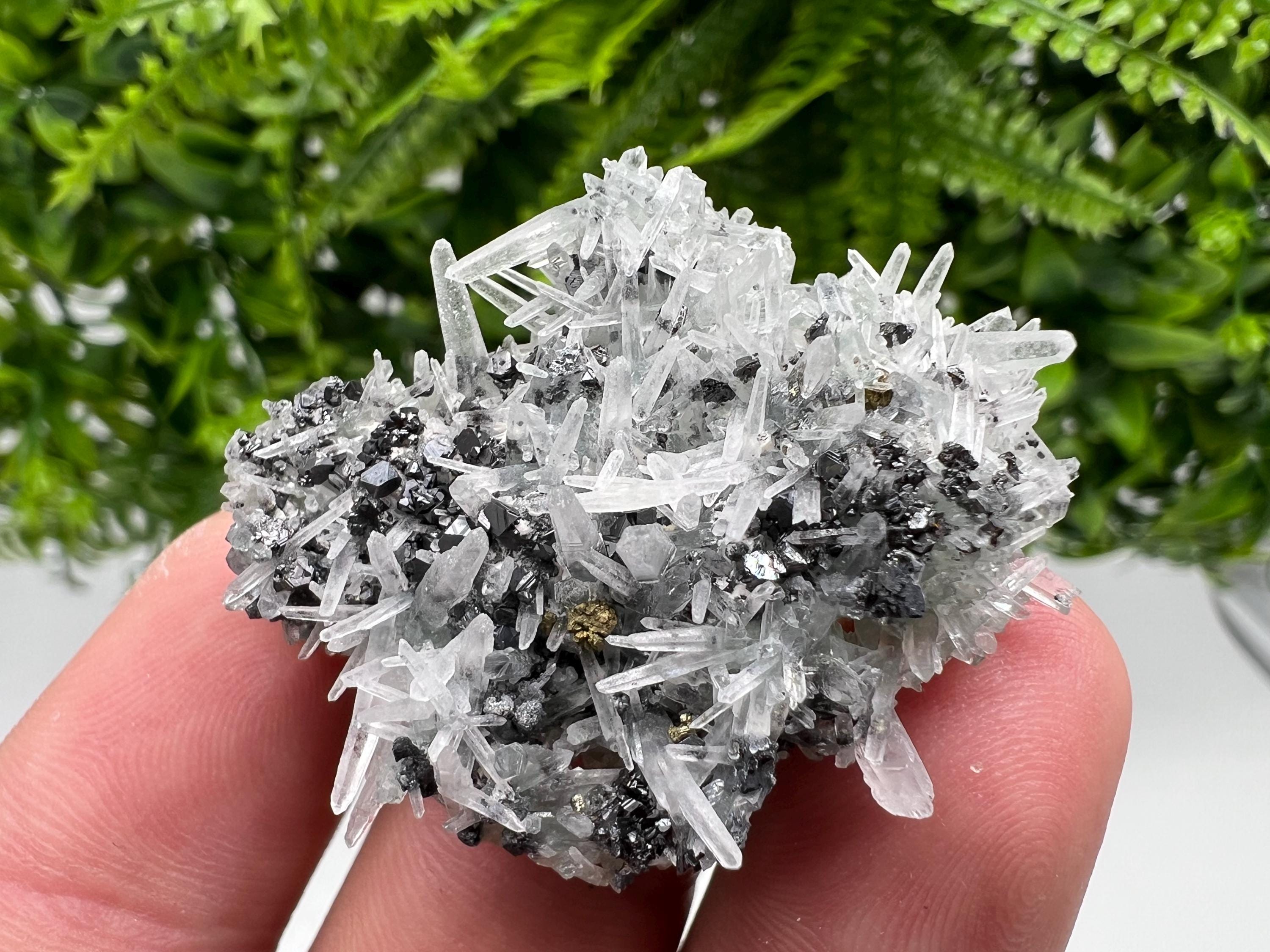 Sphalerite Chalcopyrite on Green Quartz with Hematite, Bulgaria Mineral Specimen