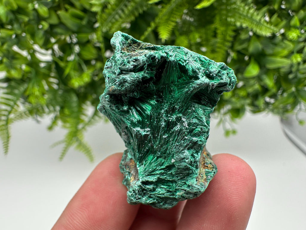 Green Polished Malachite Crystal Specimen from Congo