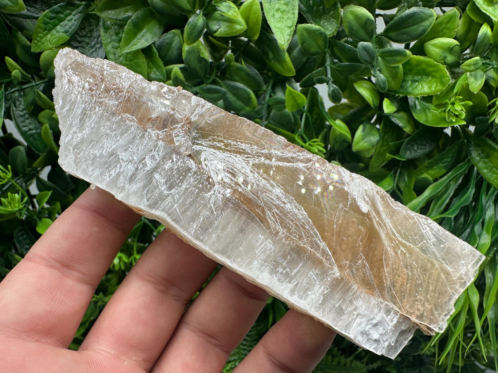 Golden Phantom Selenite Slab: Raw Utah Fishtail Selenite Wand