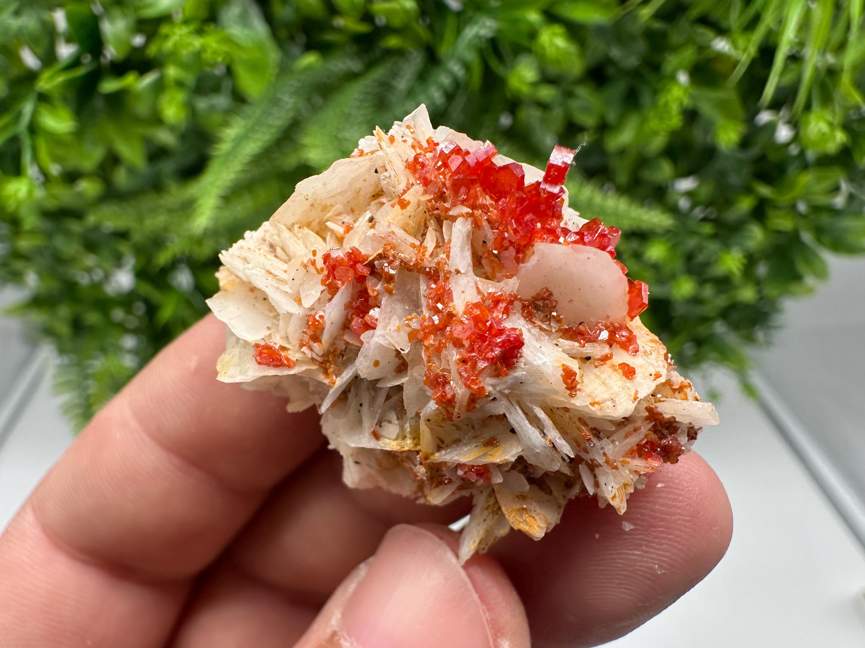 Red Vanadinite on Barite from Marocco,crystal minerals Speciment cluster Vanadinite crystal Vanadinite Geology Vanadinite cluster minerals