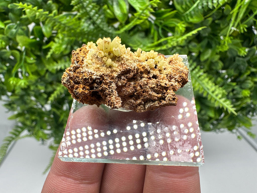 Green Yellow Pyromorphite Hematite on Quartz, Madjarovo Bulgaria