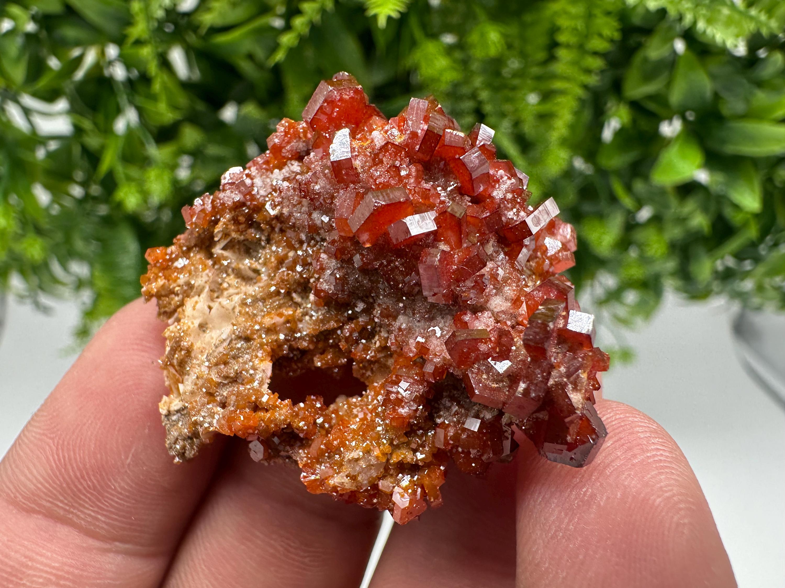 Red Vanadinite on Barite from Marocco,crystal minerals Speciment cluster Vanadinite crystal Vanadinite Geology Vanadinite cluster minerals