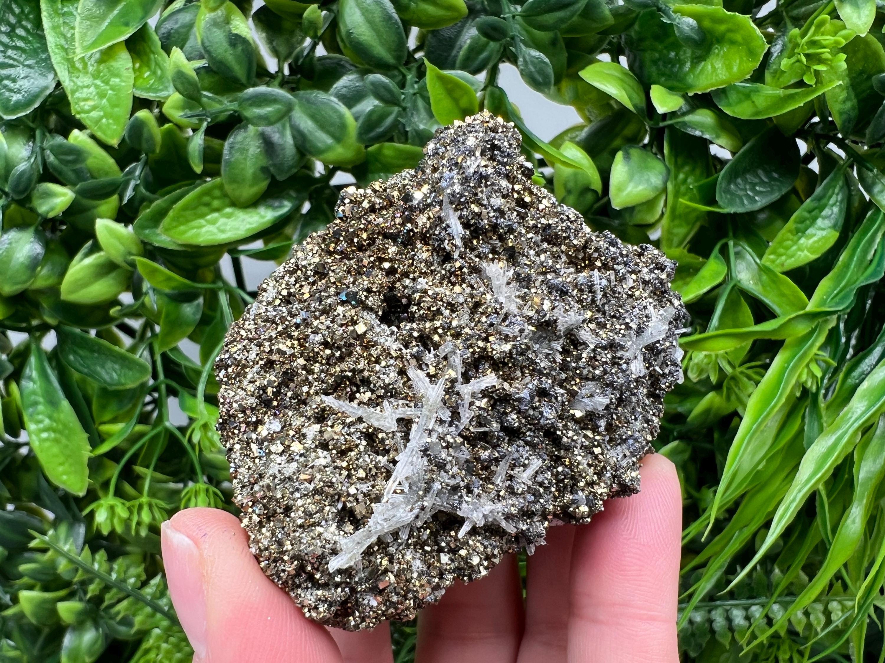 Pyrite on Green Quartz Mineral Specimen, Bulgaria