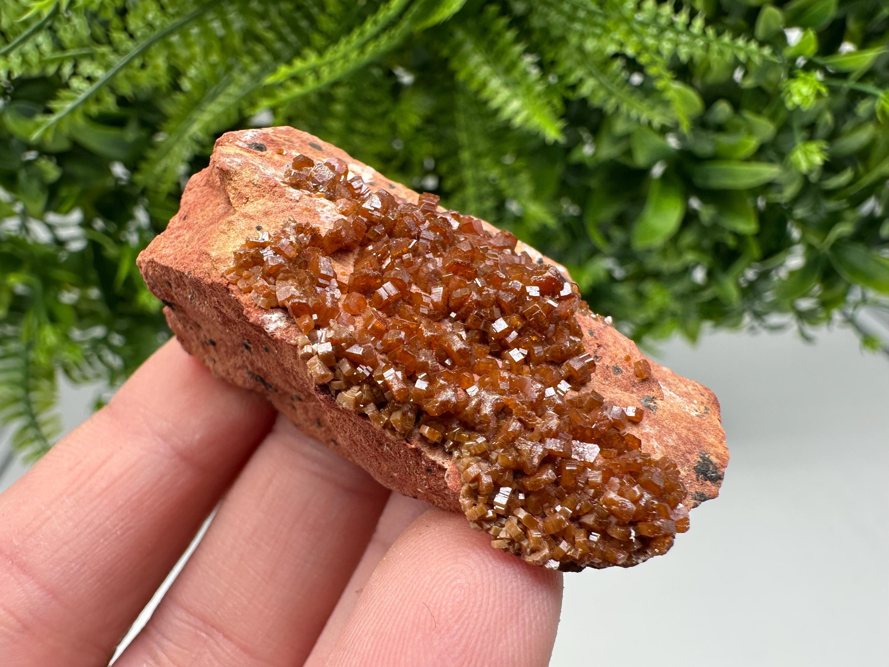 Red Vanadinite on Matrix from Marocco,crystal minerals Speciment cluster Vanadinite crystal Vanadinite Geology Vanadinite cluster minerals