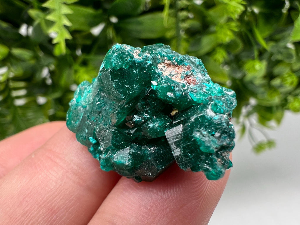 Stunning Green Dioptase from Sanda Hills,Mindouli,Pool Department,Mindouli District,Congo,green Dioptase,Dioptas Crystal,Dioptase collecting
