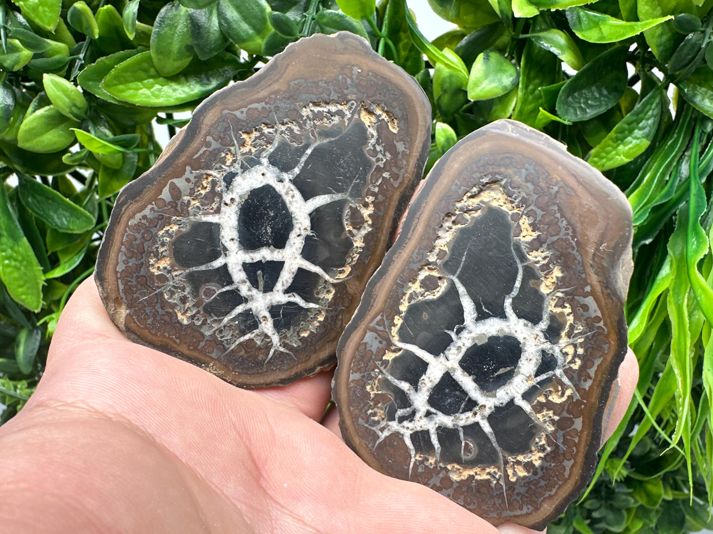 Septarian Nodule Geode Pair: Dragonstone Aragonite Limestone