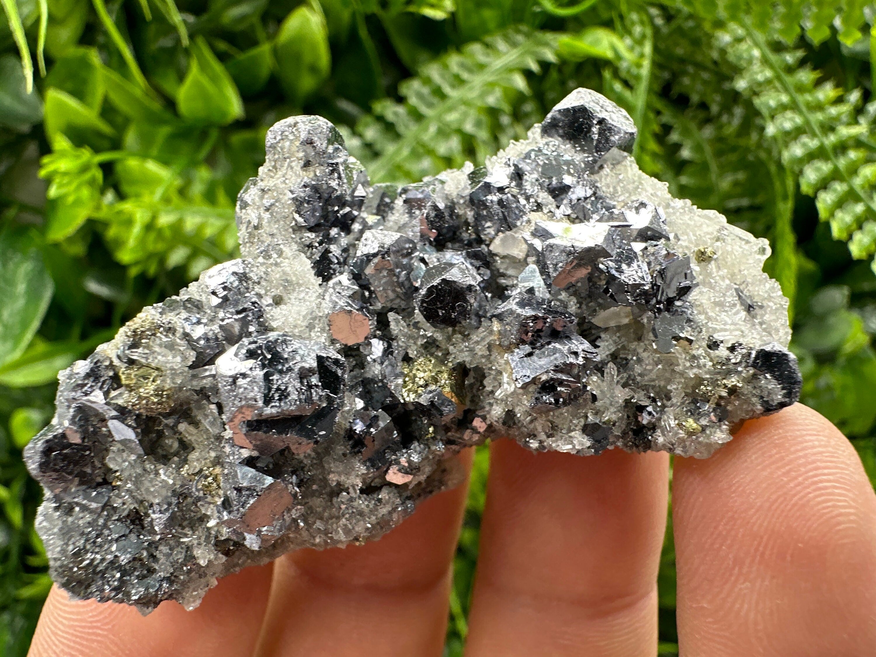 Galena Chalcopyrite on Quartz: Crystal Home Decor, Borieva Mine