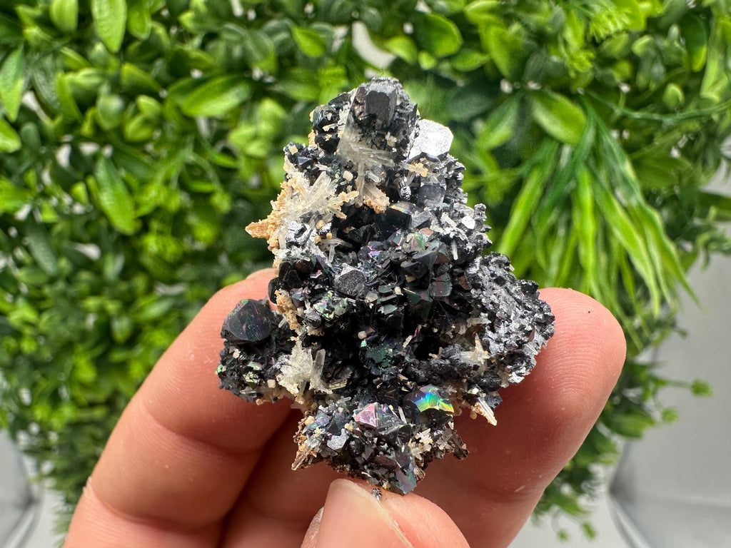 Wonderful Galena,Sphalerite,Siderite on Quartz from 9th September mine,Madan,Bulgaria,natural,collection mineral specimen,crystal,gift,decor