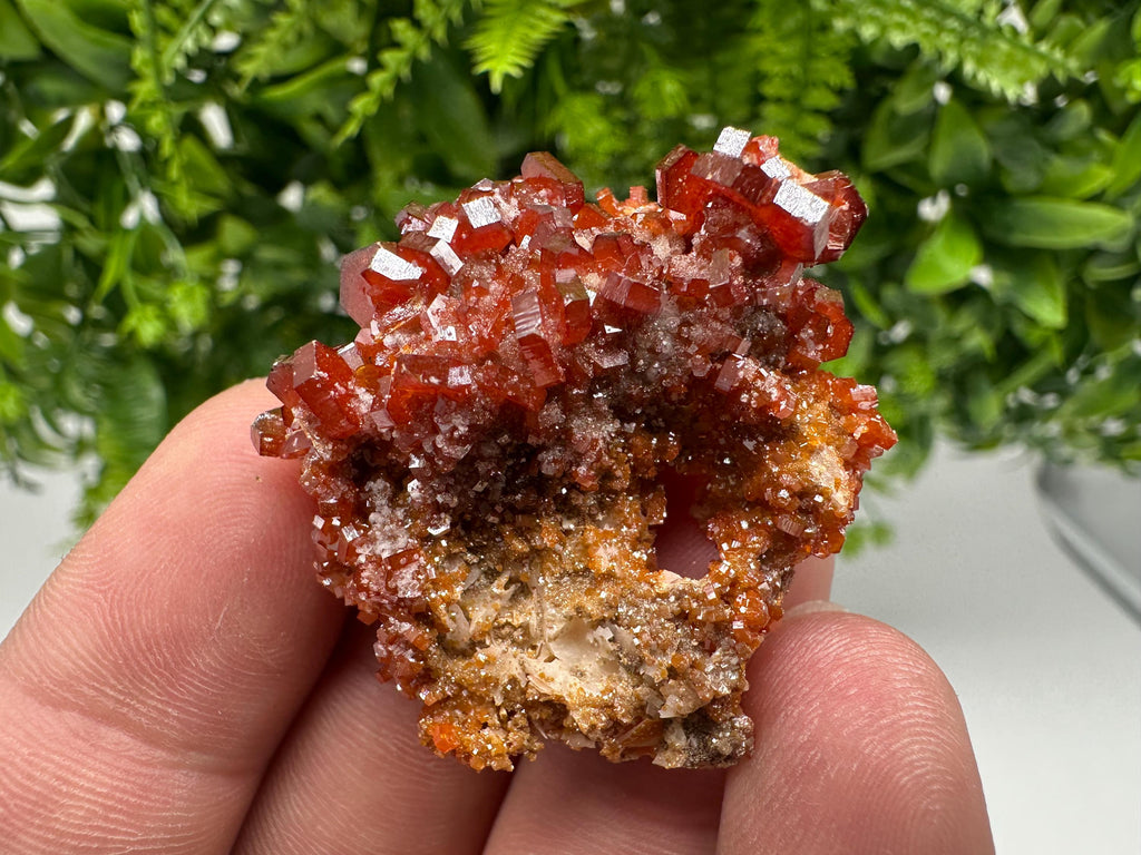 Red Vanadinite on Barite from Marocco,crystal minerals Speciment cluster Vanadinite crystal Vanadinite Geology Vanadinite cluster minerals