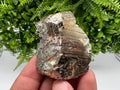 Rainbow Pyrite Hematite Cluster: Borieva Mine, Bulgaria