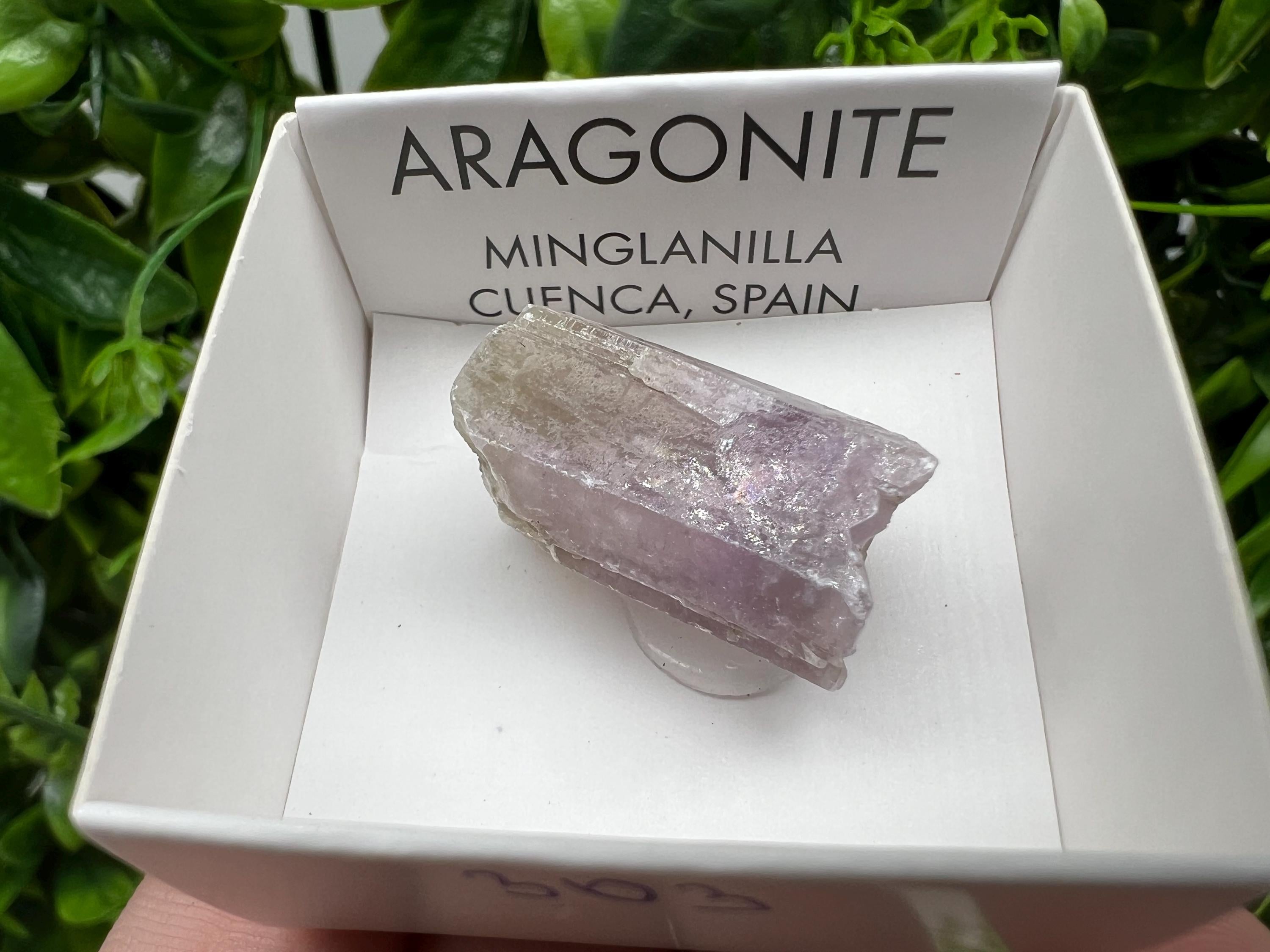 Amazing Aragonite from Spain,Aragonite crystal,cluster,natural,mineral,specimen,Purple Aragonite,Spanish Aragonite,Mineralcollection