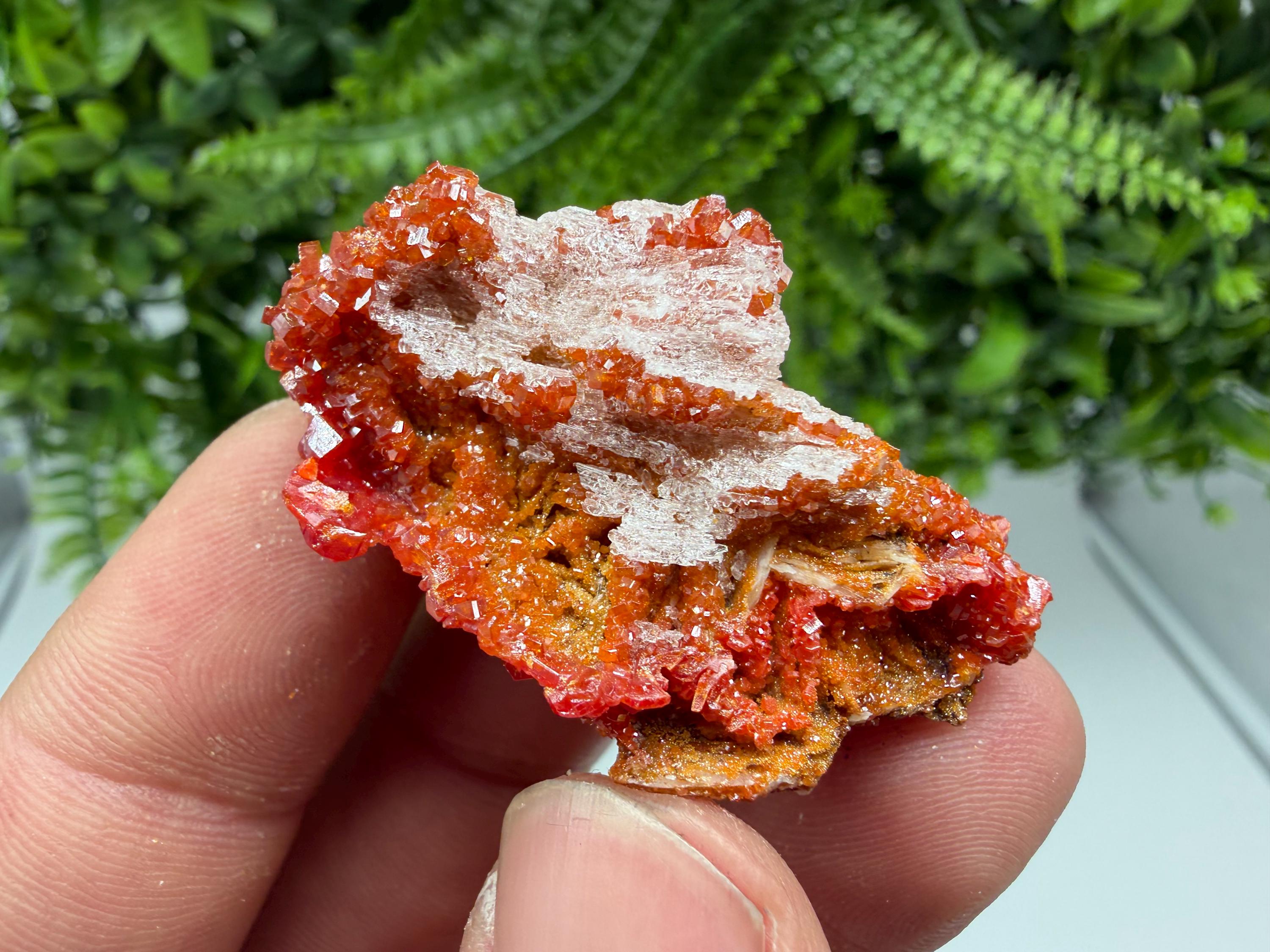 Red Vanadinite Crystal Cluster on Barite, Morocco Mineral Specimen