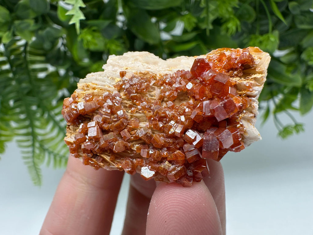 Red Vanadinite Crystal Cluster on Barite Matrix from Morocco