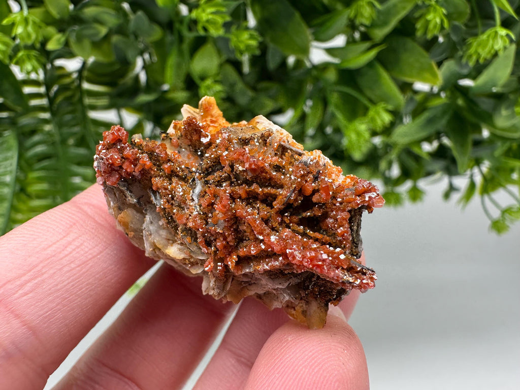 Red Vanadinite on Barite from Marocco,crystal minerals Speciment cluster Vanadinite crystal Vanadinite Geology Vanadinite cluster minerals