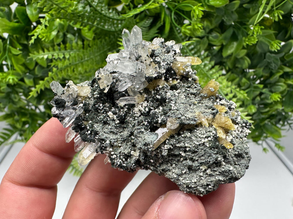Chlorite Epidote Quartz Specimen: Borieva Mine, Bulgaria