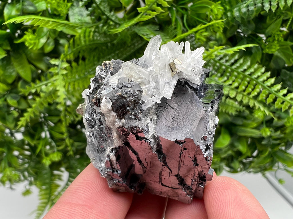 Pyrite Galena Sphalerite Quartz Specimen, Borieva Mine Bulgaria