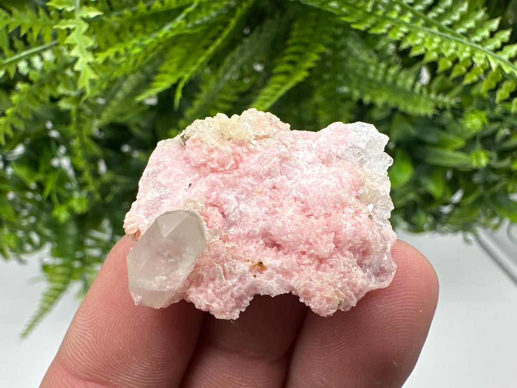 Rhodochrosite on Quartz: Pink Mineral Specimen, Starnica Mine