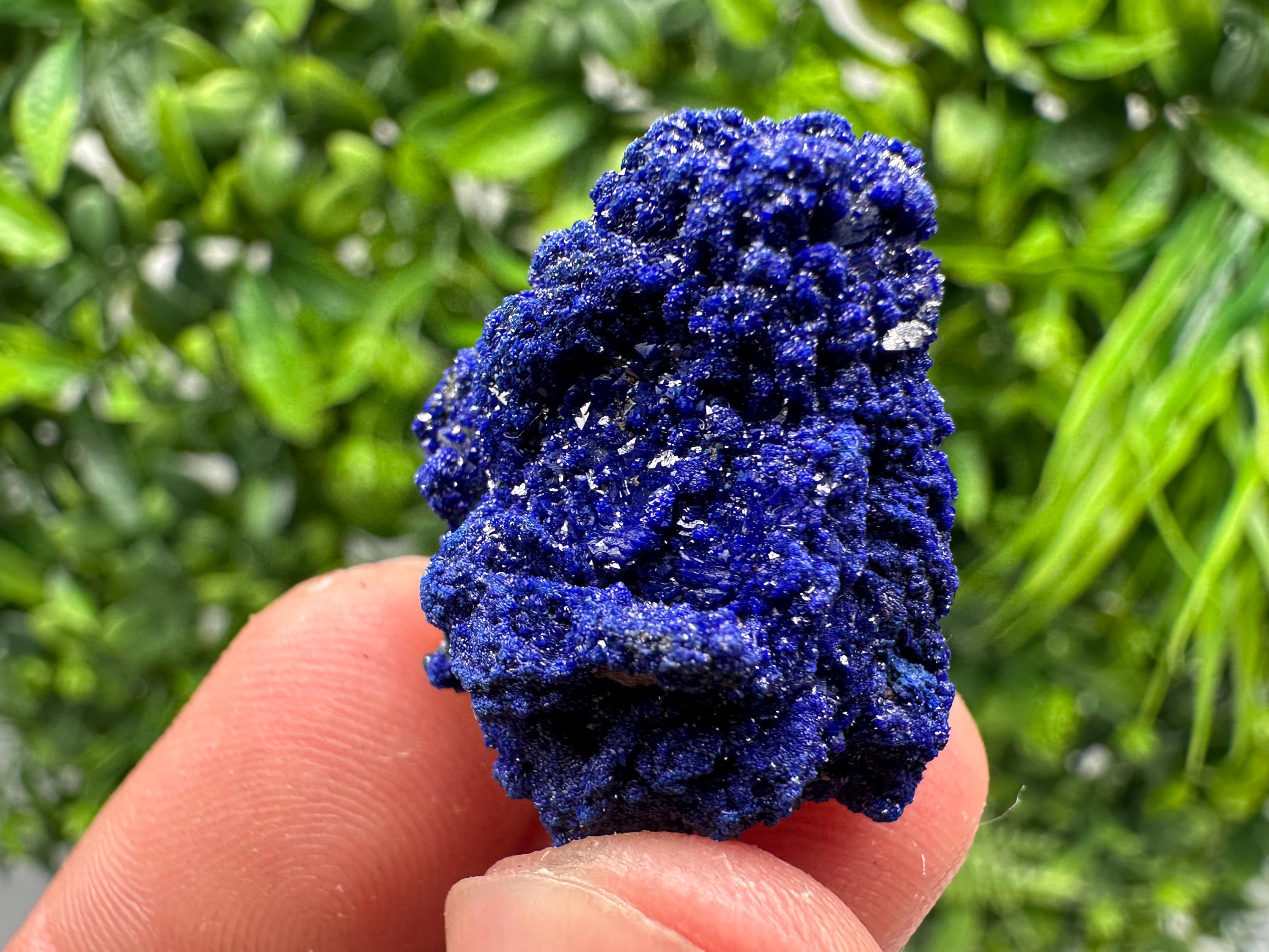 Crystallized Azurite-Kerrouchen,Morocco-Blue Azurite Specimen-High Quality Blue Azurite-Azurite Mineral Specimen, gemmy,lustrous of Azurite