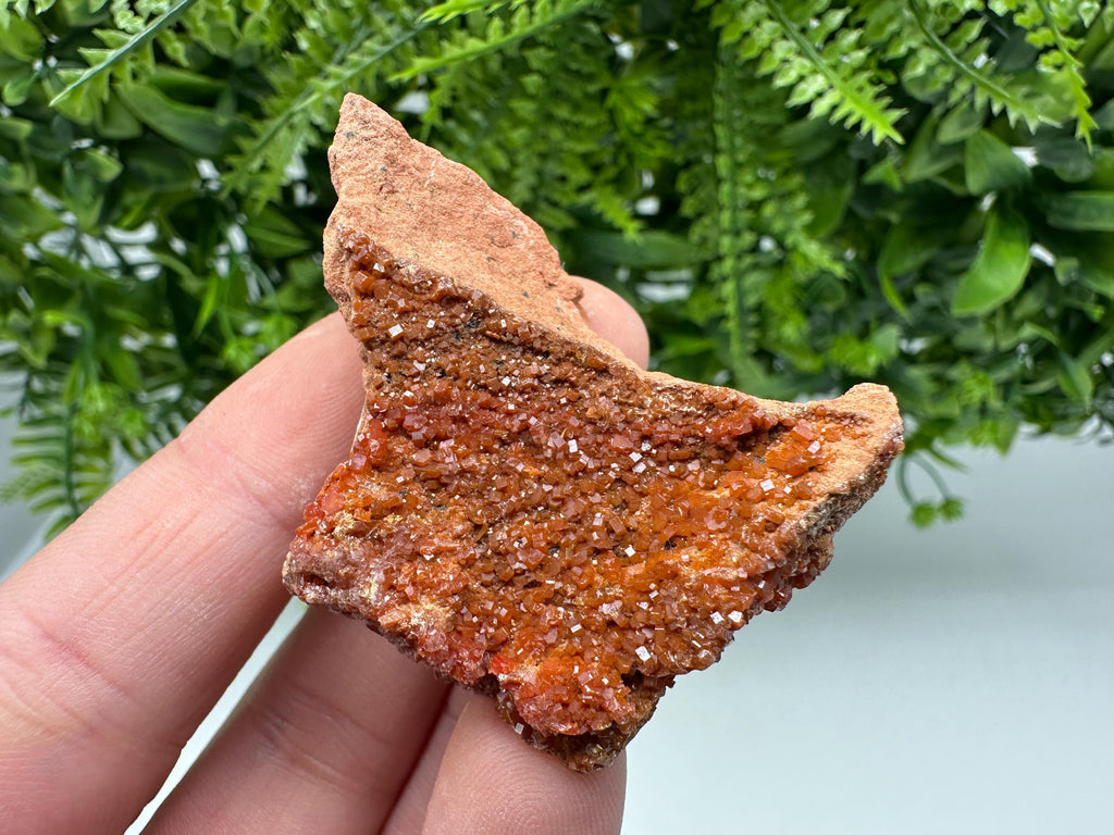 Red Vanadinite on Matrix from Marocco,crystal minerals Speciment cluster Vanadinite crystal Vanadinite Geology Vanadinite cluster minerals