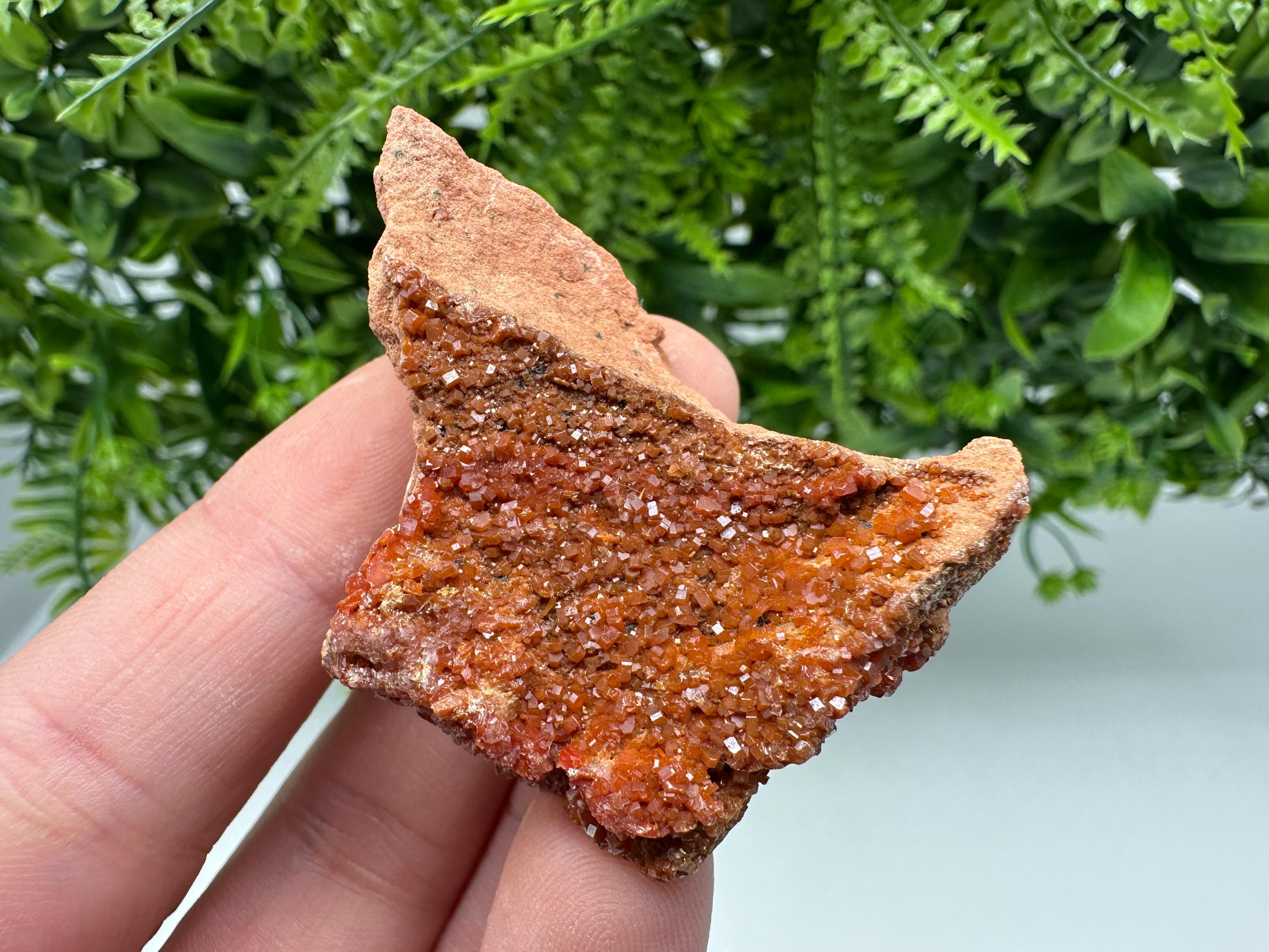Red Vanadinite on Matrix from Marocco,crystal minerals Speciment cluster Vanadinite crystal Vanadinite Geology Vanadinite cluster minerals