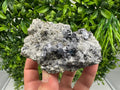 Galena Sphalerite Pyrite on Quartz: Borieva Mine Mineral Cluster
