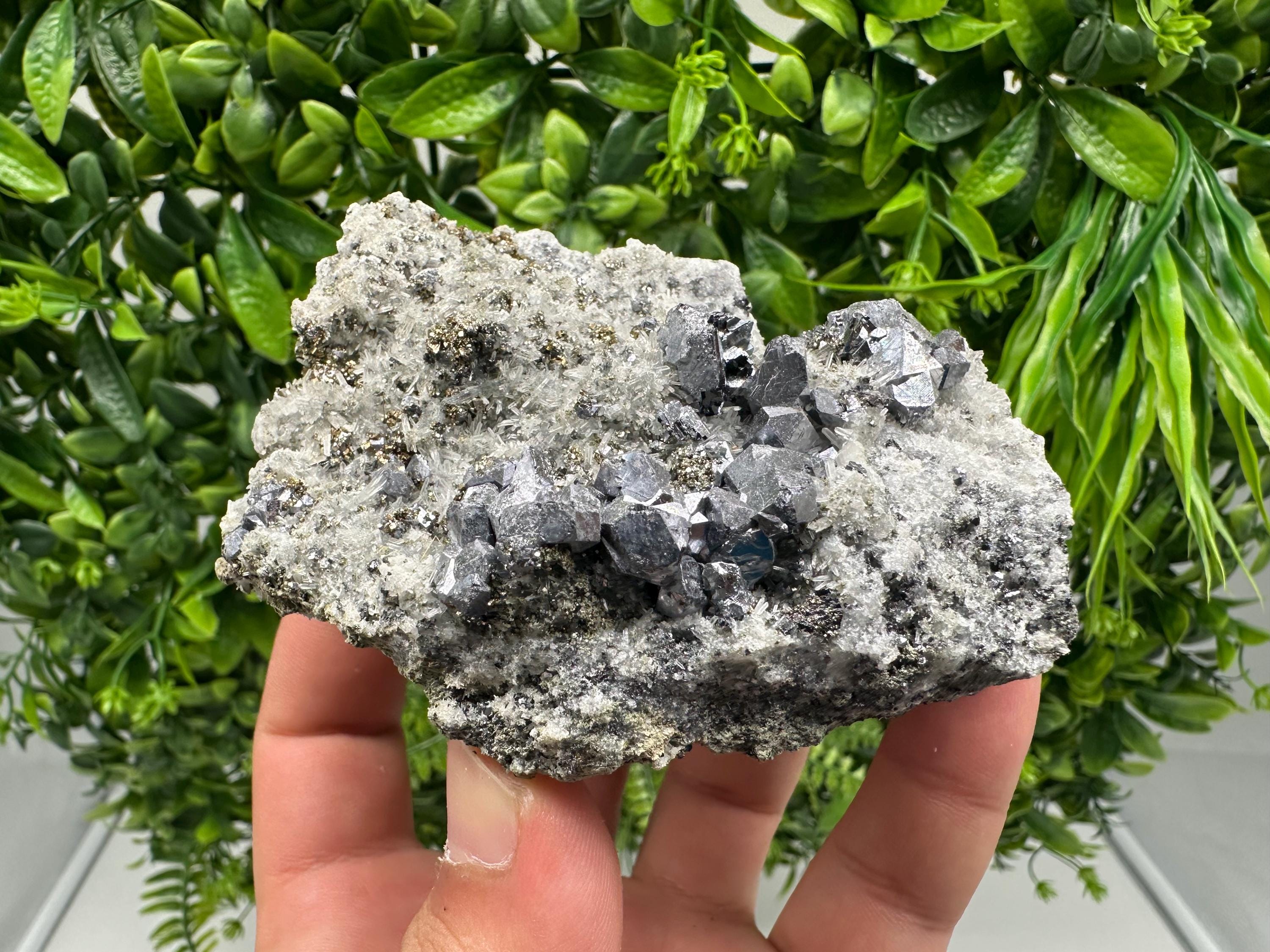 Galena Sphalerite Pyrite on Quartz: Borieva Mine Mineral Cluster