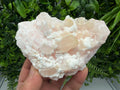 Incredible UV reaction Mangano Calcite, natural minerals souvenir crystal,collection stone Home decor minerals gift Androvo mine Bulgaria