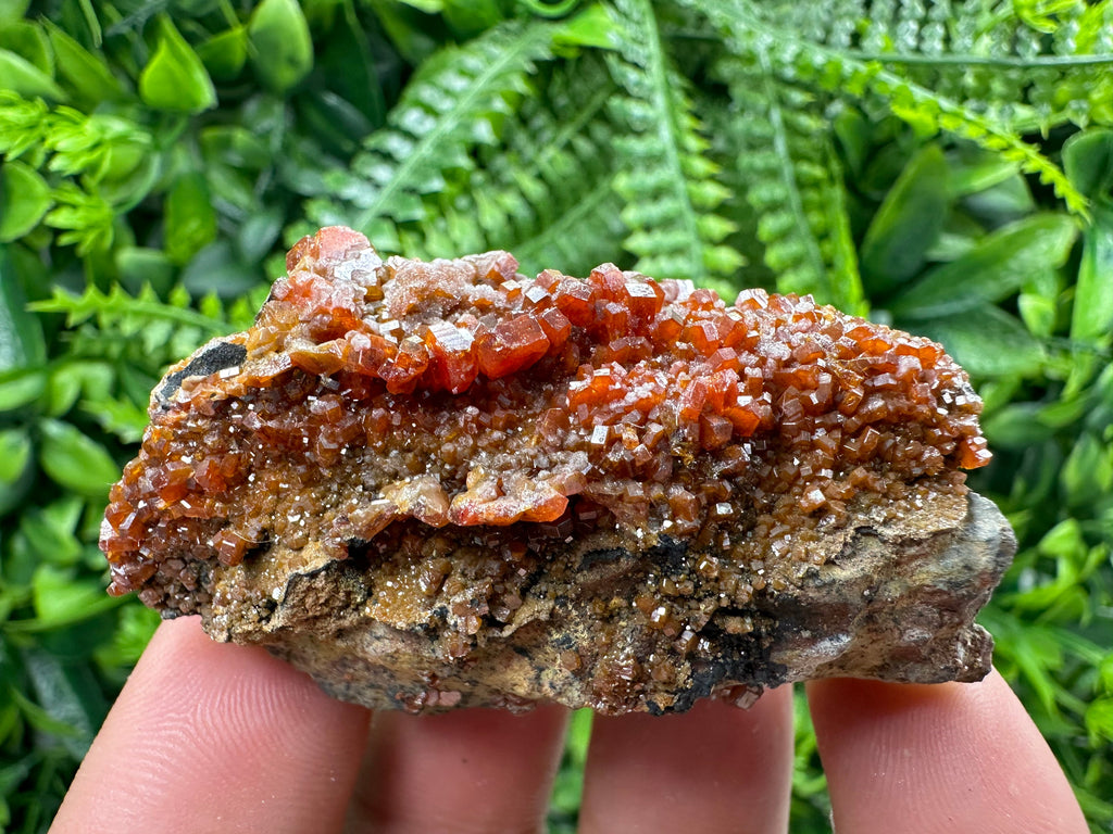Red Vanadinite Crystal Cluster on Matrix, Morocco Mineral Specimen