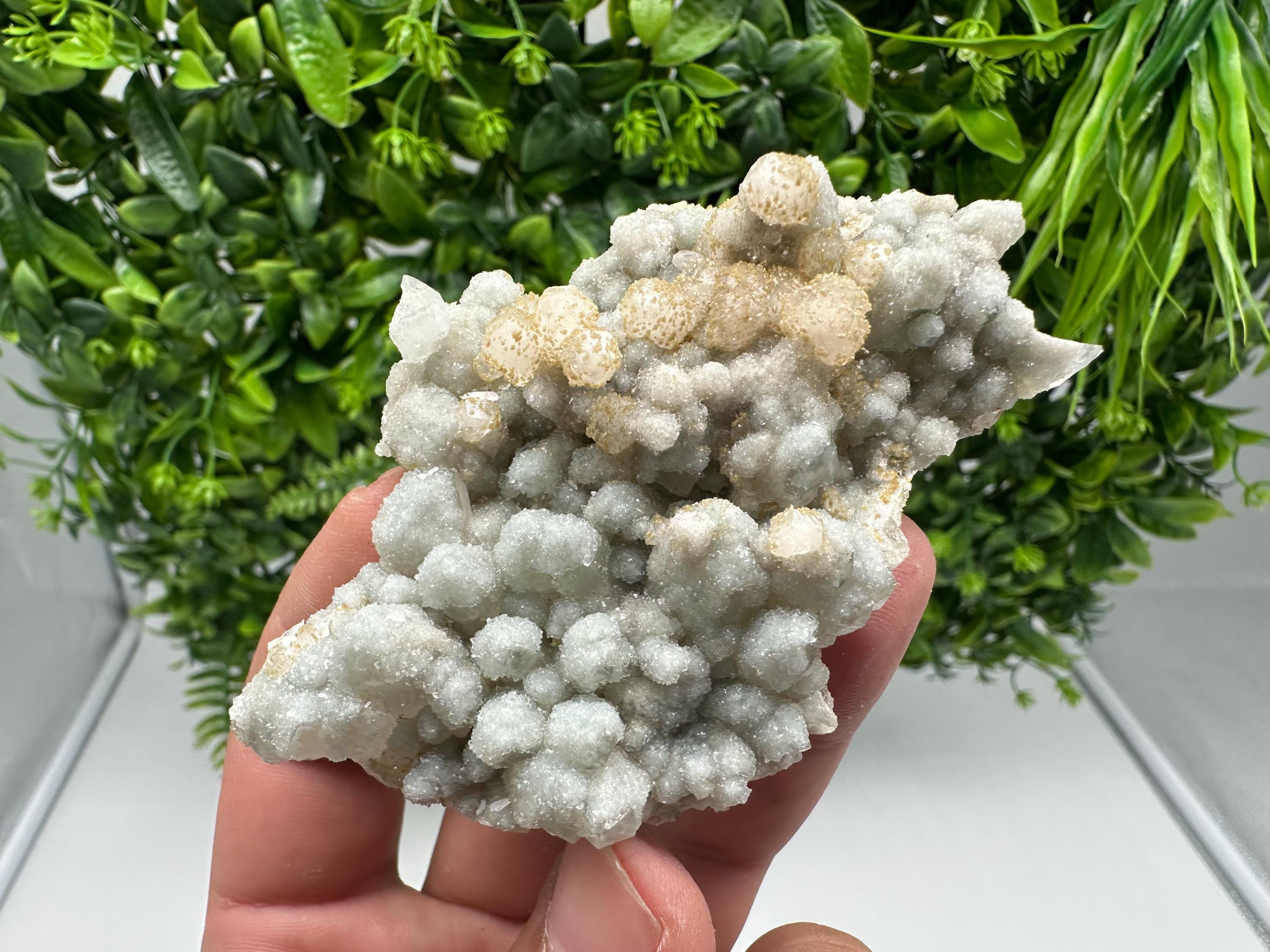 Quartz whit Brown Rhodochrosite from Djurcovo mine,Bulgaria,Quartz,Rhodochrosite cluster,natural mineral,collection crystal,mineral specimen