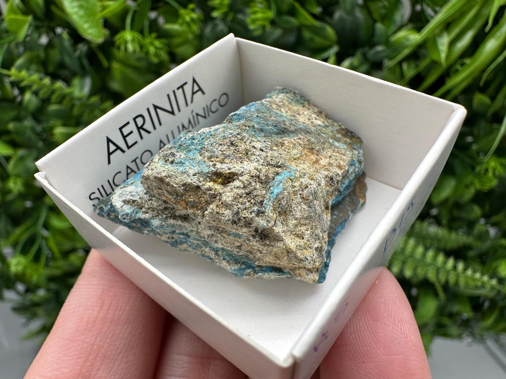 Rare Raw Aerinite Mineral Specimen: Lleida, Spain Crystal