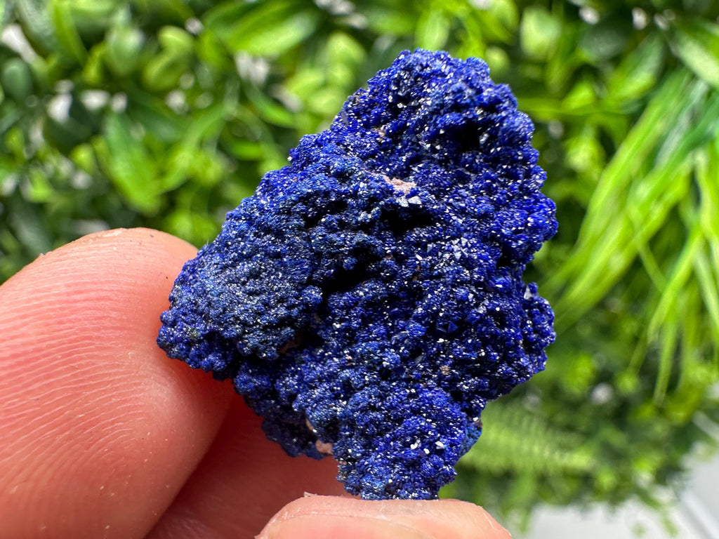 Crystallized Azurite-Kerrouchen,Morocco-Blue Azurite Specimen-High Quality Blue Azurite-Azurite Mineral Specimen, gemmy,lustrous of Azurite
