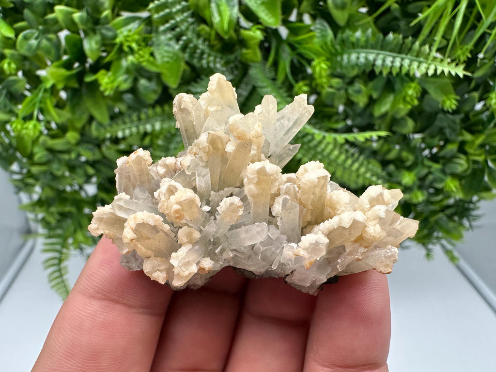 Calcite on Green Quartz: Djurcovo Mine, Bulgaria Healing Crystal