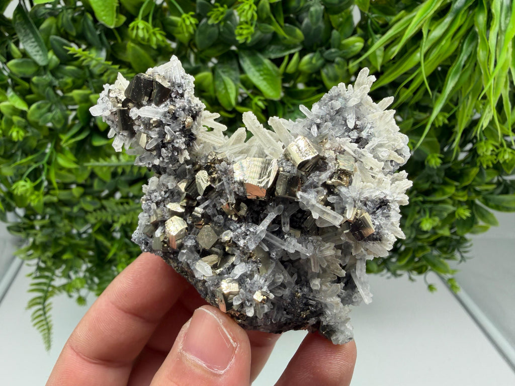Rainbow Pyrite, Sphalerite on Quartz: Natural Crystal Souvenir