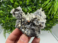 Rainbow Pyrite, Sphalerite on Quartz: Natural Crystal Souvenir