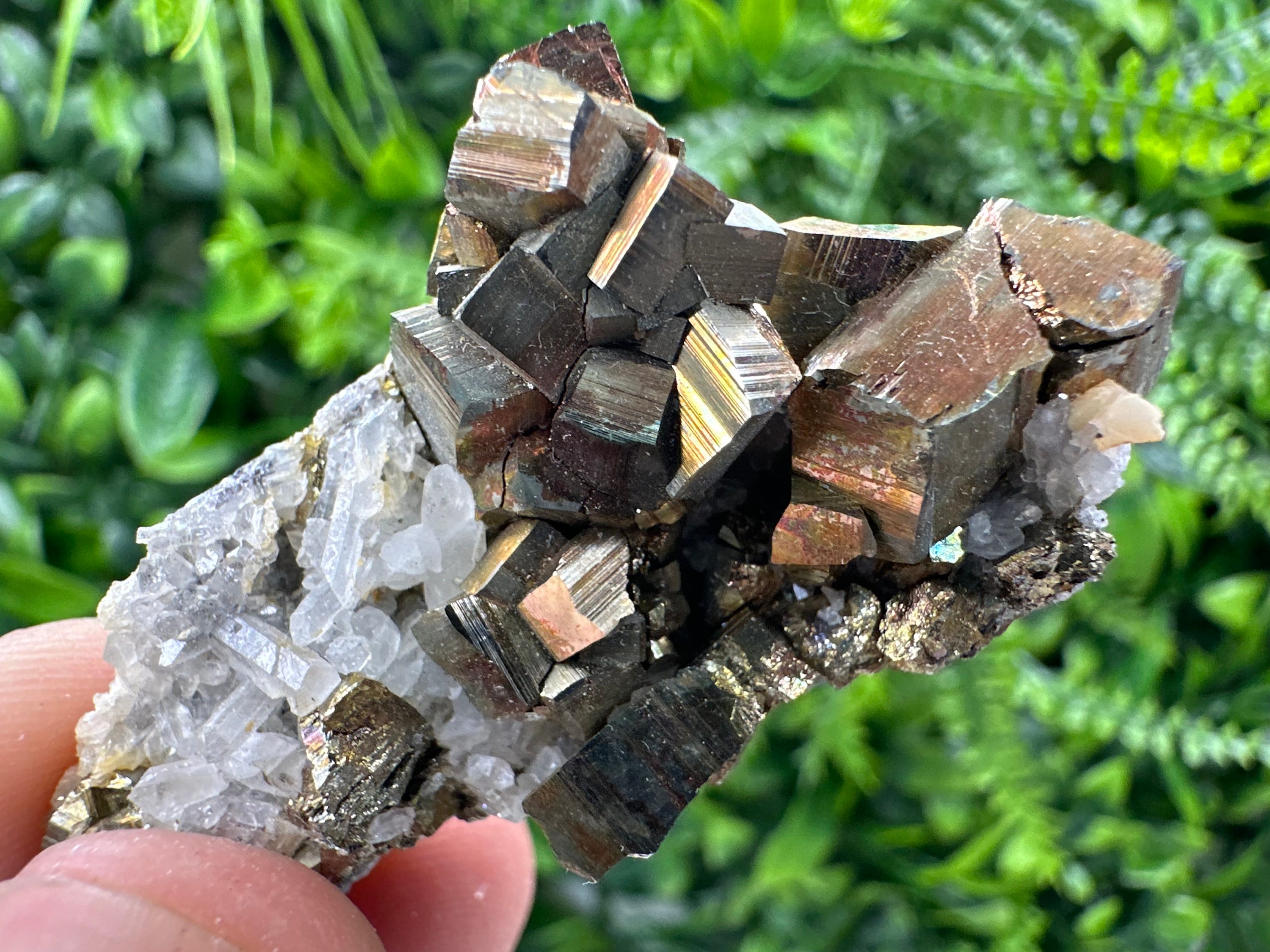 Pyrite on Quartz Specimen, Borieva Mine, Bulgaria