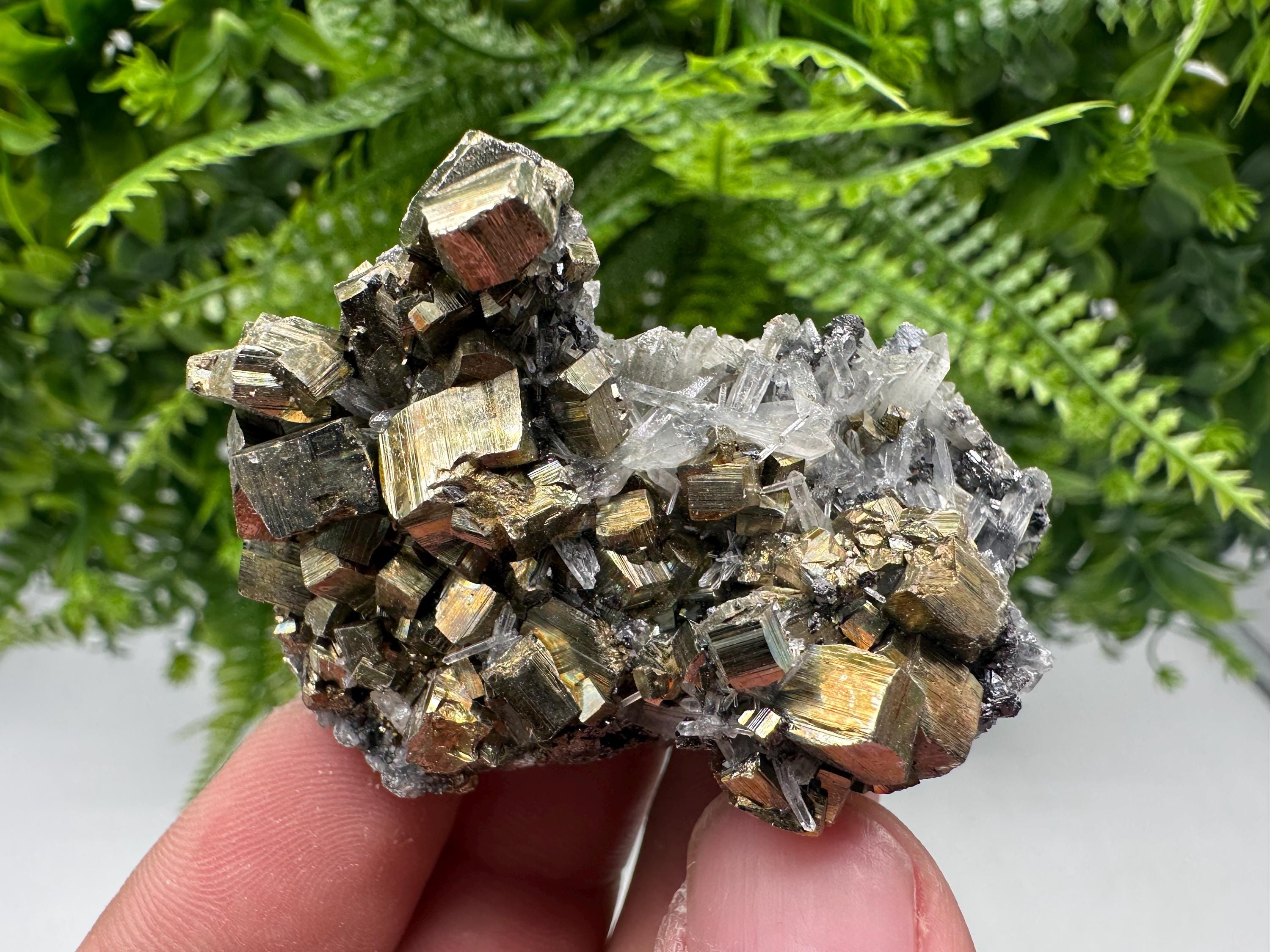 Rainbow Pyrite & Sphalerite on Quartz: Natural Crystal Decor