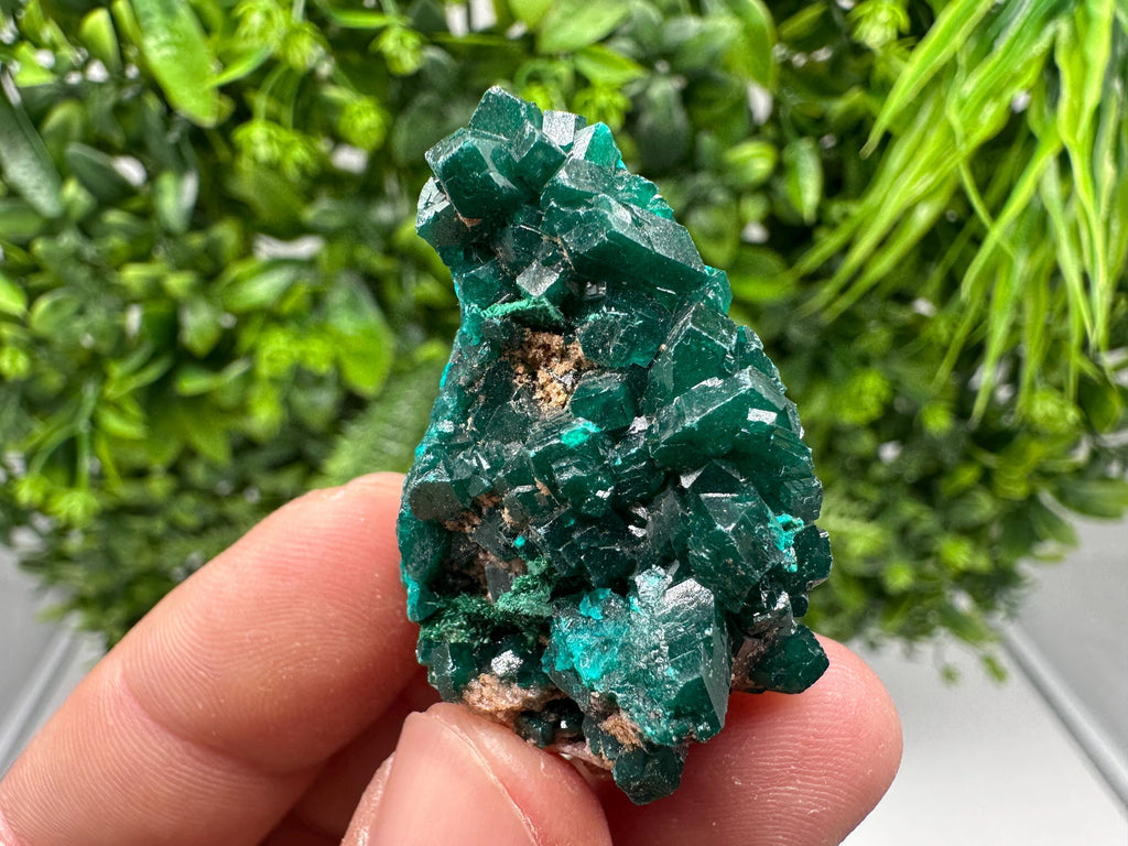 Stunning Green Dioptase from Sanda Hills,Mindouli,Pool Department,Mindouli District,Congo,green Dioptase,Dioptas Crystal,Dioptase collecting
