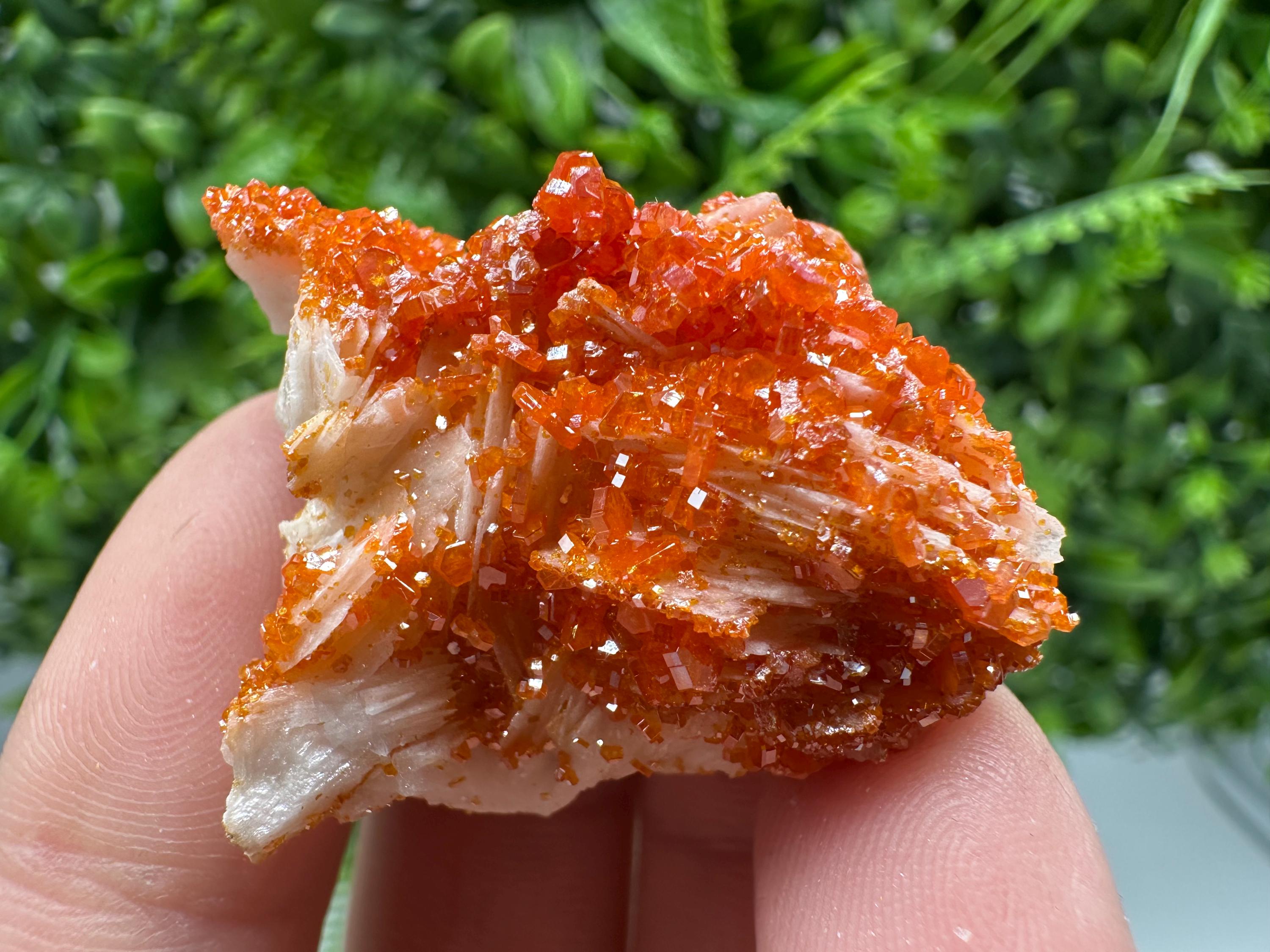 Red Vanadinite on Barite Cluster, Morocco Mineral Specimen