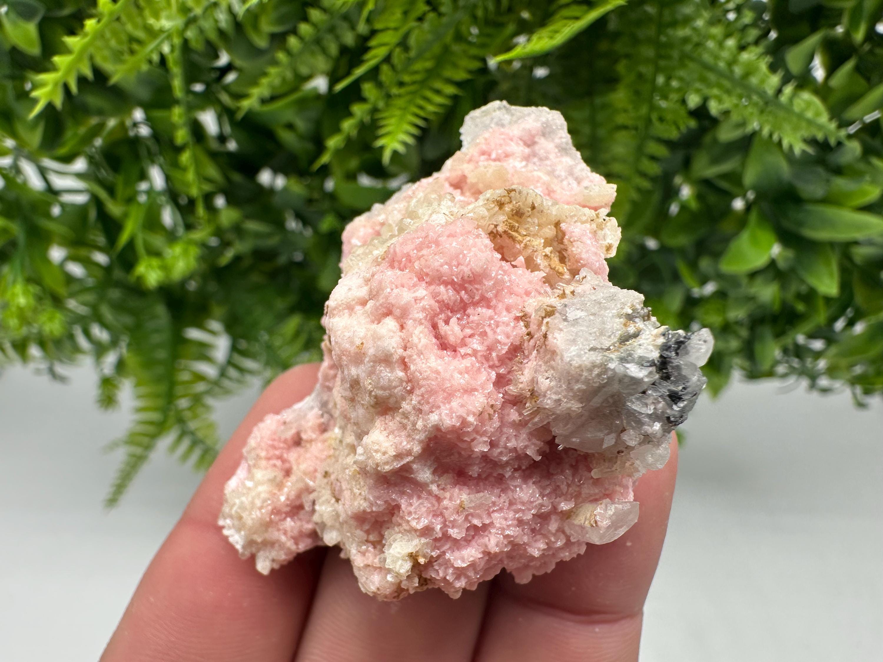 Pink Rhodochrosite Mineral Specimen, Starnica Mine, Bulgaria