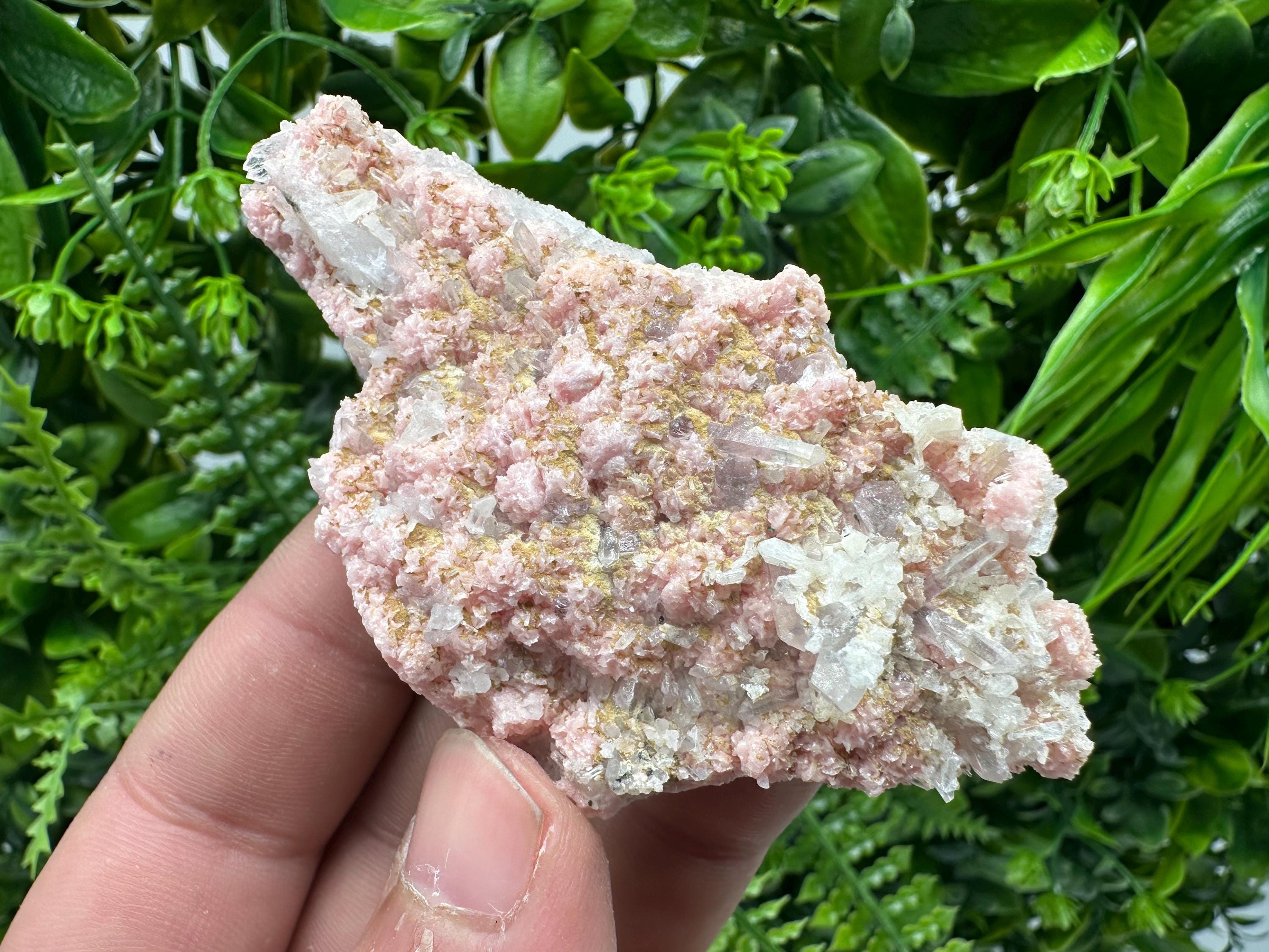 Rhodochrosite on Quartz: Pink Crystal Home Decor, Bulgaria Mineral Souvenir