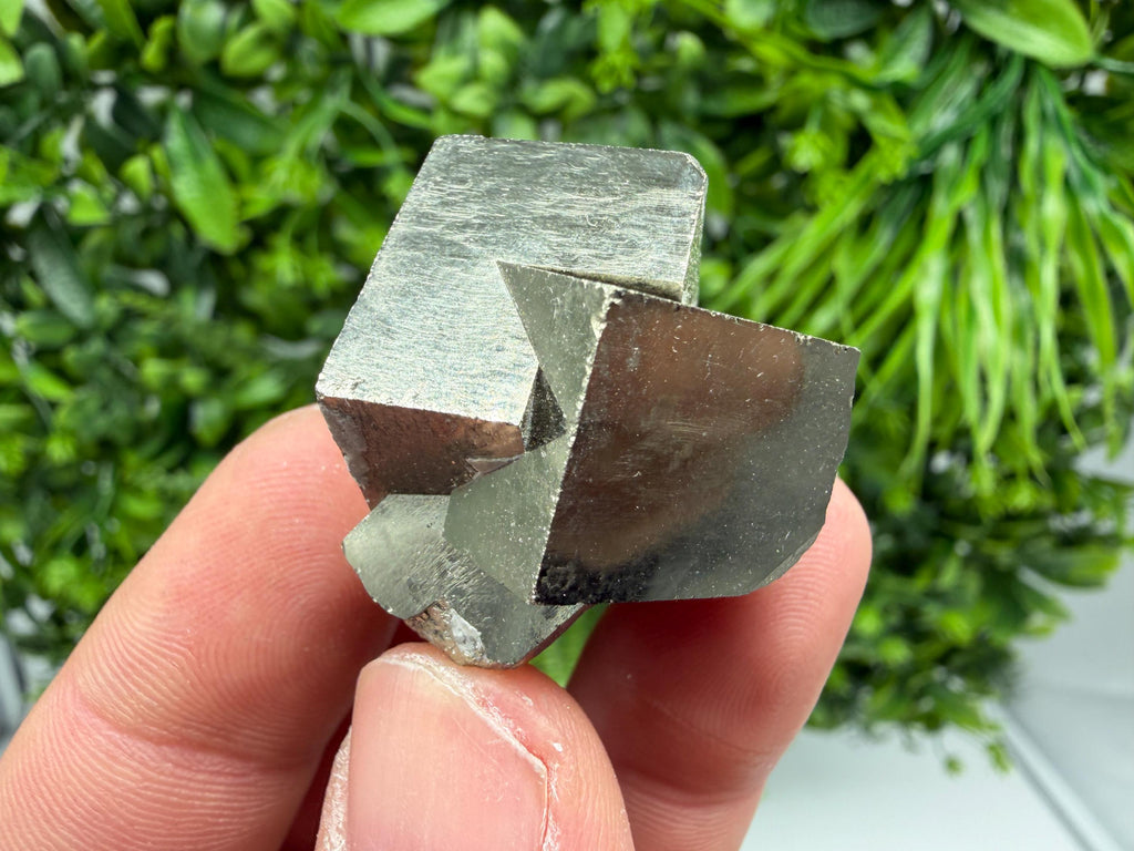 Interjoined,Pyrite,Gold,Cube PYRITE, Navajun, La Rioja, SPAIN,natural Pyrite shiny Pyrite home decor stone gift minerals,collectibls