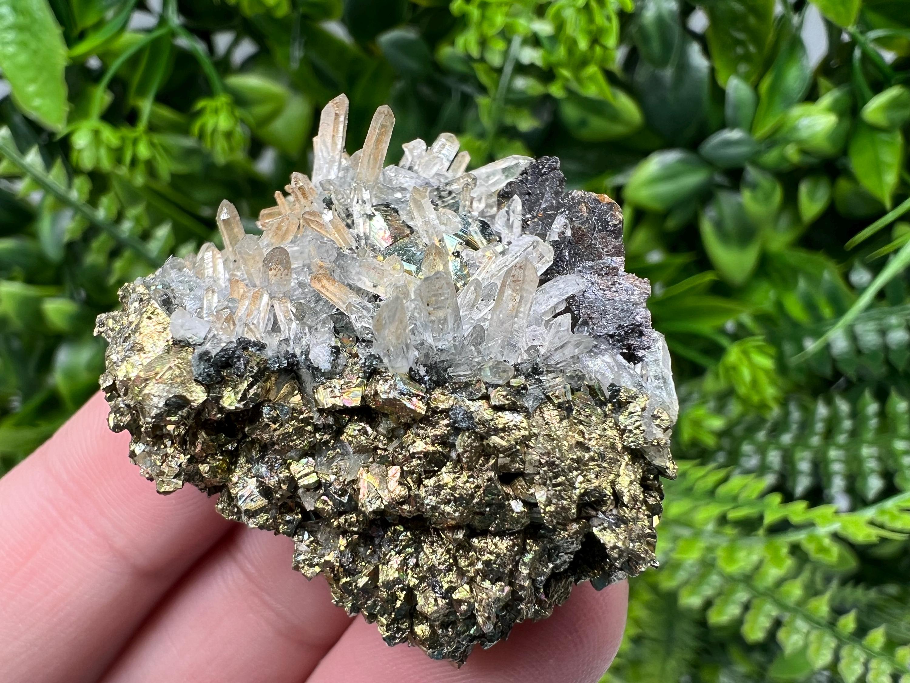 Rainbow Pyrite with Sphalerite on Quartz: Natural Crystal Decor