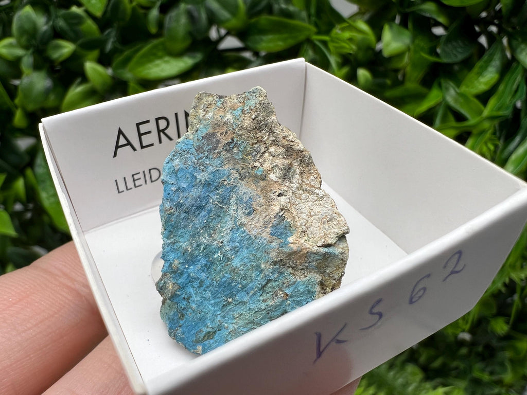 Rare Raw Aerinite Mineral Specimen: Lleida, Spain Crystal Collection