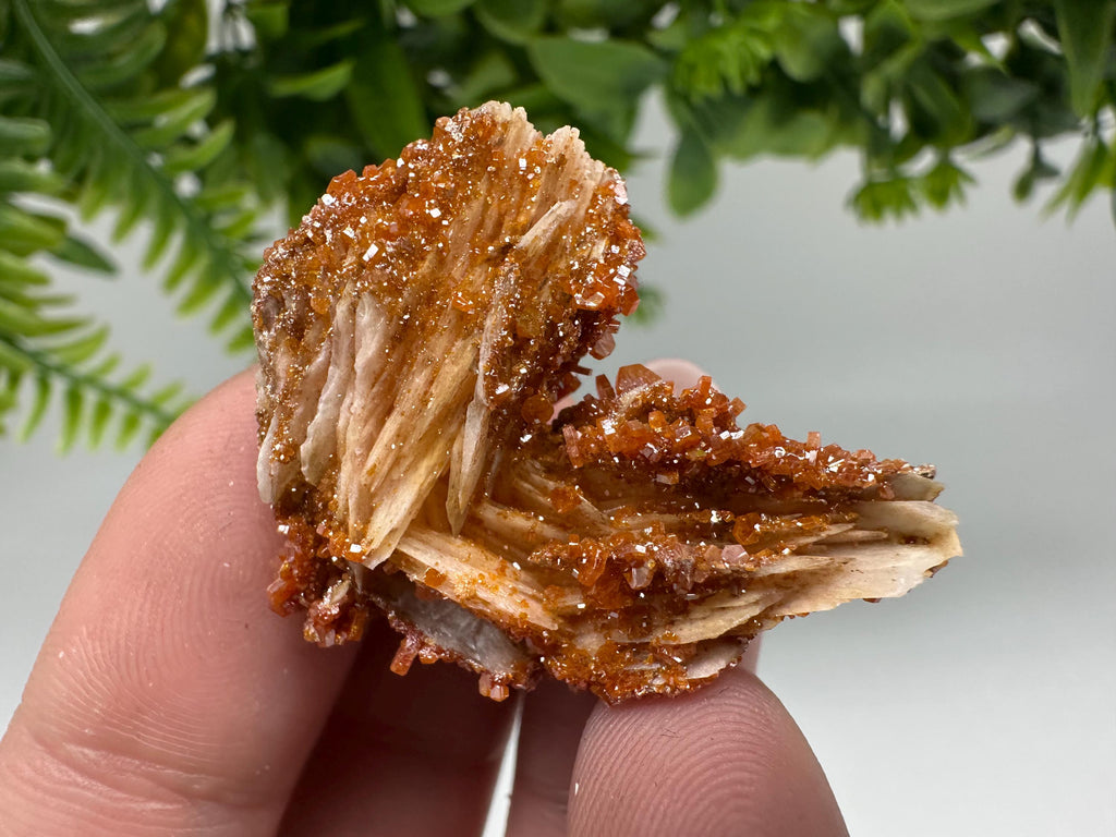 Red Vanadinite on Barite Cluster, Morocco Crystal Specimen