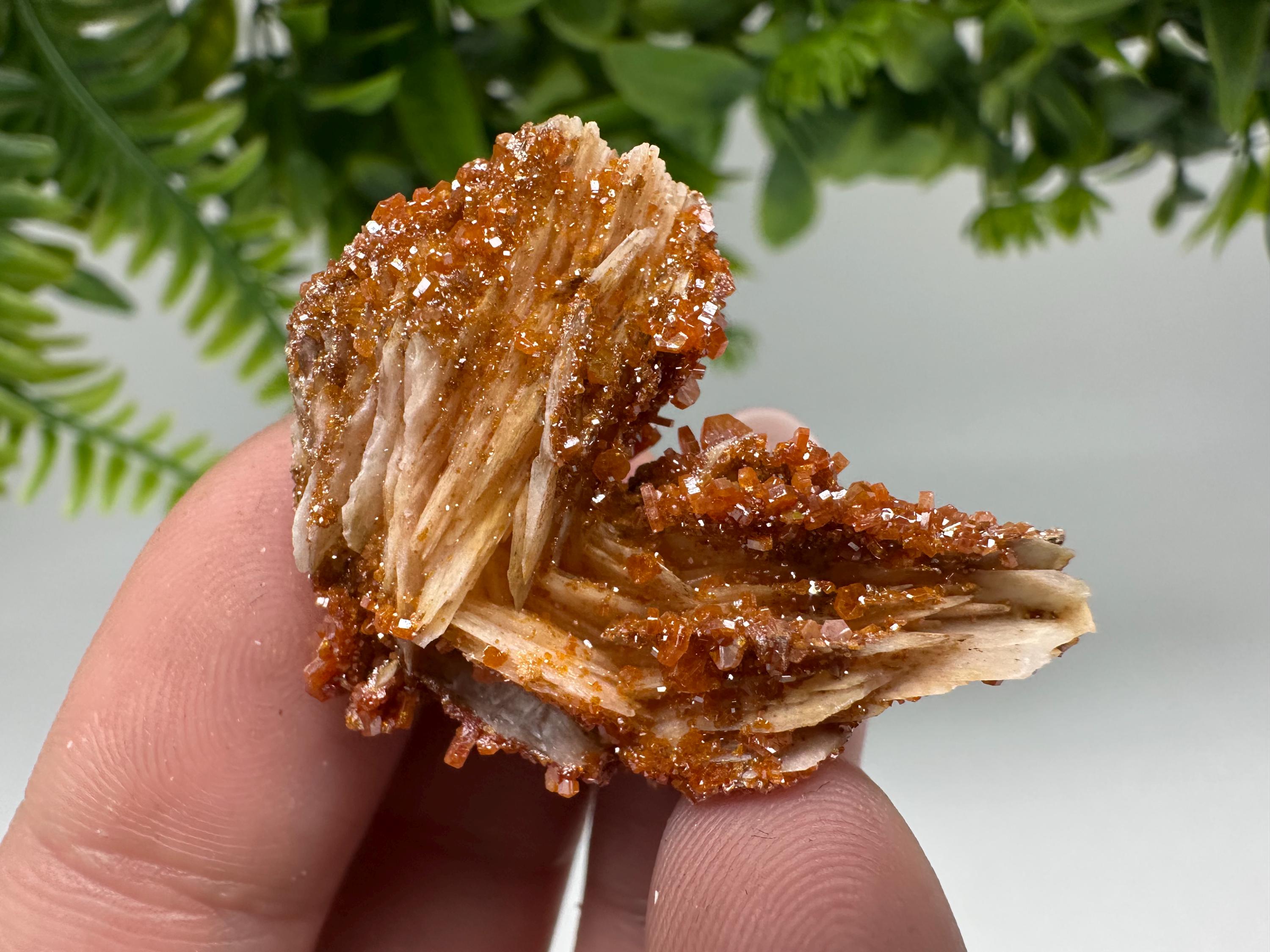 Red Vanadinite on Barite Cluster, Morocco Crystal Specimen