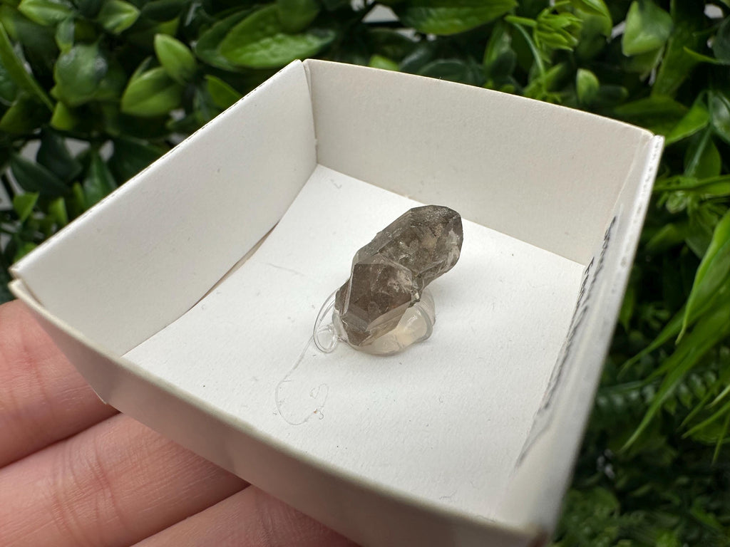 Rare Fedenstock Smoky Quartz Mineral Specimen (17 MM)