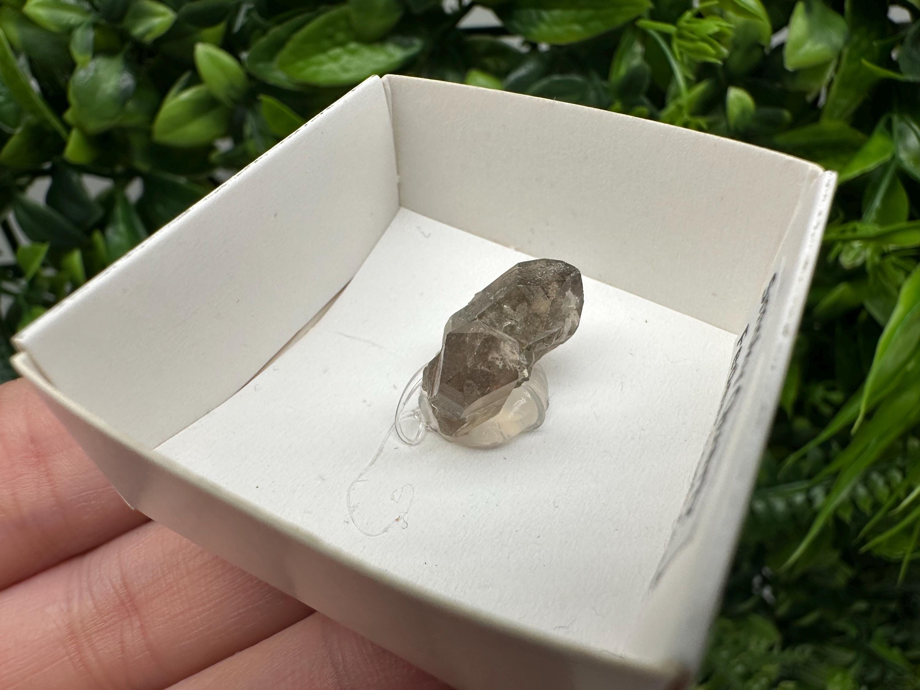 Rare Fedenstock Smoky Quartz Mineral Specimen (17 MM)