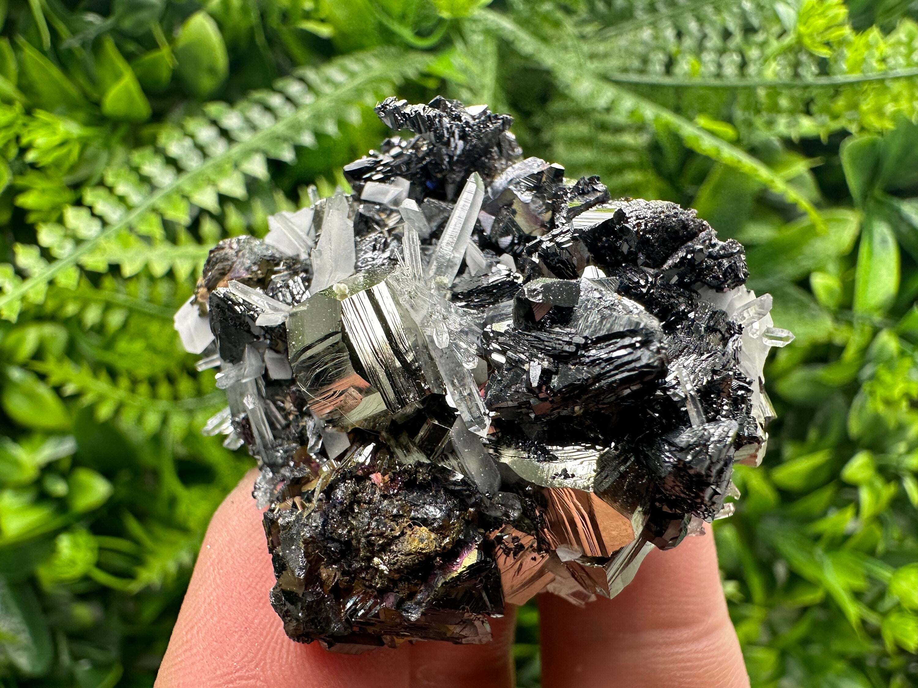 Pyrite Sphalerite Quartz Cluster, Borieva Mine Mineral Specimen