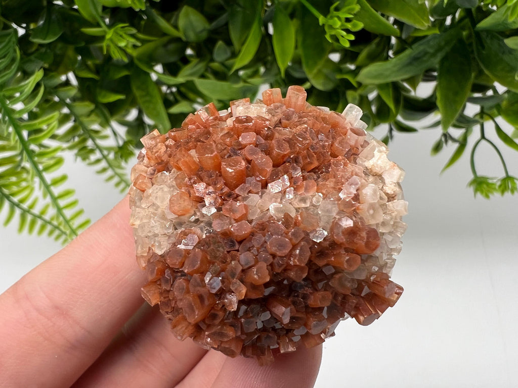 Extra Large Aragonite Sputnik Cluster: Moroccan Raw Crystal Stone